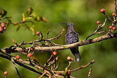悬疑惊悚角色扮演游戏《死亡终局轮回试炼2》数位版今日正式于NS平台登场